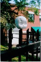 babyhead16 