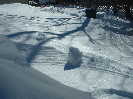 DSCF0009.JPG